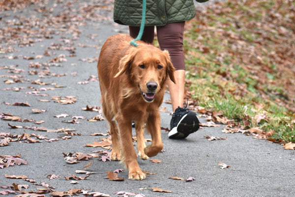 Impact on Walking Stride